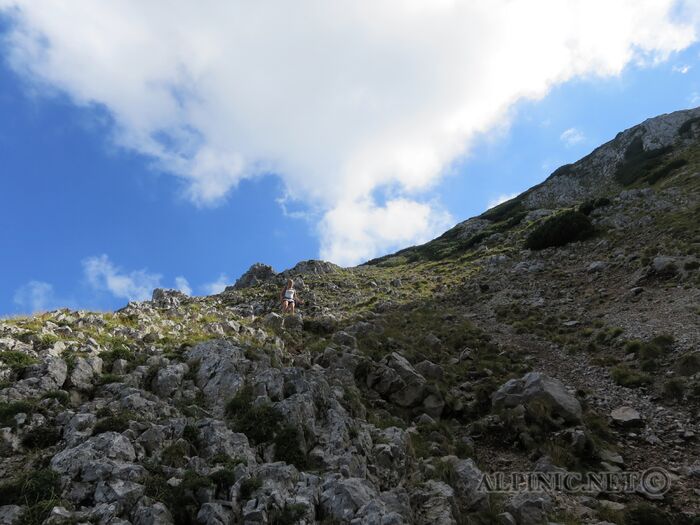 IMG_2929_lo_dxo