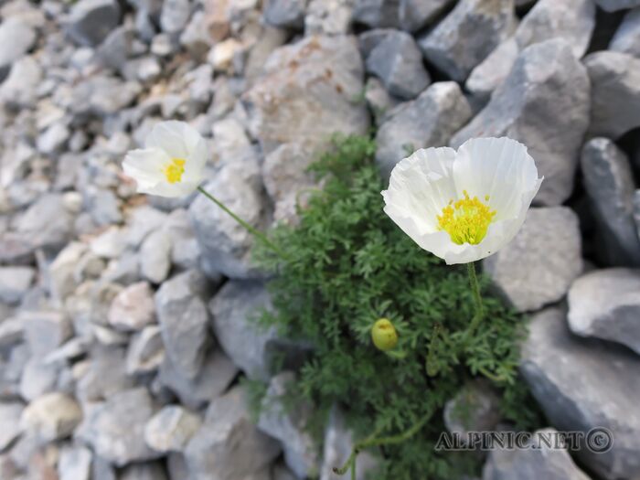 IMG_2940_lo_dxo