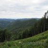 IMG_2897