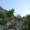 IMG_6775
