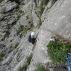DSC05225