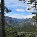 IMG_0336