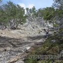 IMG_0341