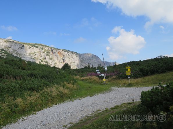 Sturmzeit 6+ 280m / Preinerwand / Rax / IMG_3568 - Zärtlich angesicherte Route auf der Preinerwand im Bereich des Malersteigs mit leichtem Alpingehabe. Eigentlich durchwegs gut gesichert, vor allem in den steileren Passagen auch engere Absicherung. Warum auch immer, in den Plattensektionen stecken nur wenige Haken und dass teilweise in weiten Abständen. Manchmal etwas störend sind die in der Route ungünstig gelagerten Graspolster die ihr Übriges zu den weiten Abständen tun. Die Bewertungen sind hie und da etwas wunderlich, z.B. die Schlüsselstelle sollte statt "diffizile 6+" eigentlich als "leichte 7" beschrieben werden ;).<br /><br />Allgemein finden sich aber immer wieder schöne Kletterstellen und die Tour ist auf jeden Fall einen Besuch wert.<br /><br />p.s. Der Felssturz am Einstiegsbereich hat keine der Bohrlaschen erwischt und auch der dazugehörige Fels scheint in Ordung zu sein. Allerdings liegt im Standbereich recht viel loses Felsmaterial herum.