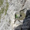 DSC00606
