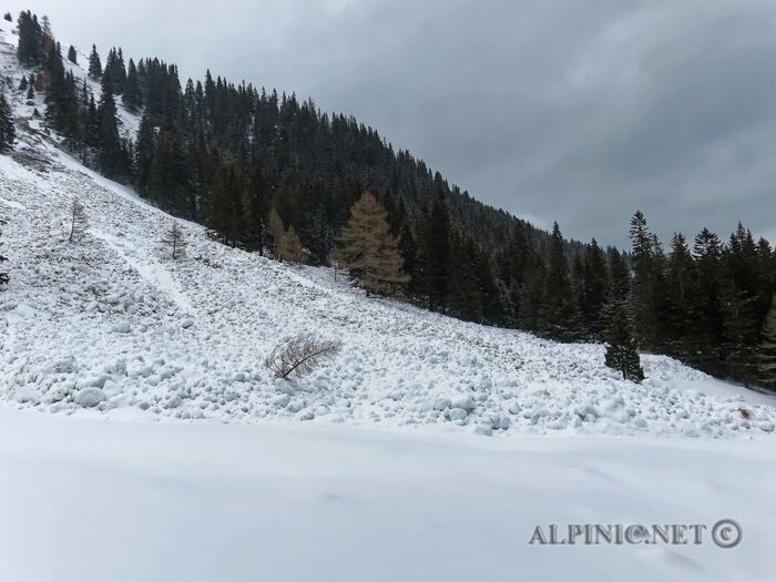 IMG_6435_DxO