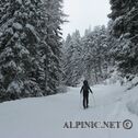 IMG_2006