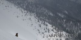Terzer Göller Südkar 1729m / 700 Hm / Mürzsteger Alpen