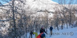 Grånipa 1240 m / 800 Hm / Sogndal / NOR