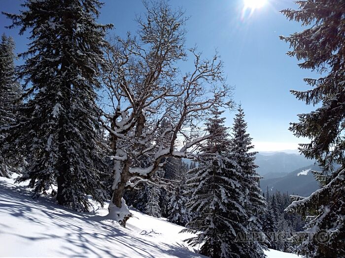 IMG_20180224_133551_lo_dxo