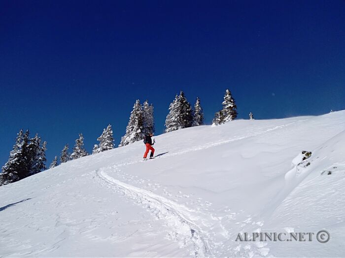 IMG_20180224_141228_lo_dxo