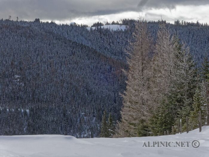 IMG_0374_DxO