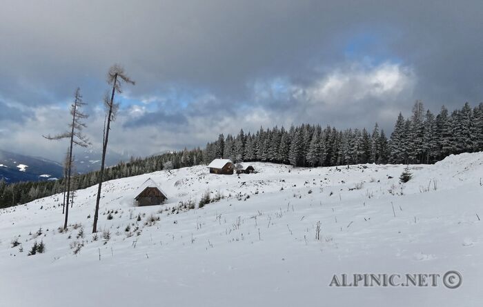IMG_0381_DxO