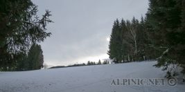 Oberer Moschkogel 1570m / Steiermark
