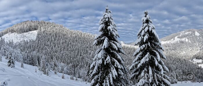 [Group 0]-IMG_8392_DxObig_IMG_8393_DxObig-2 images