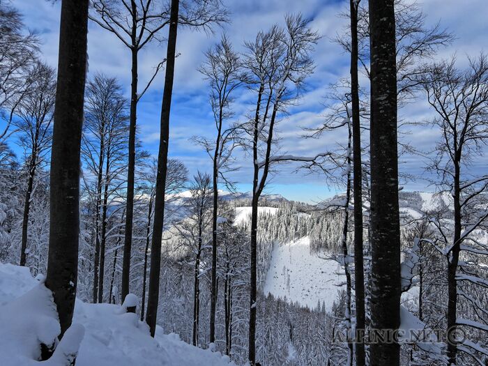 IMG_8397_aDxO