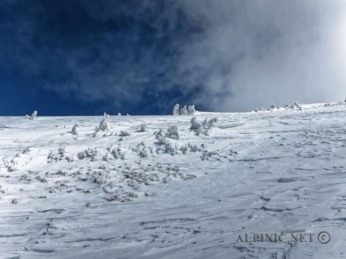 IMG_9572_DxO