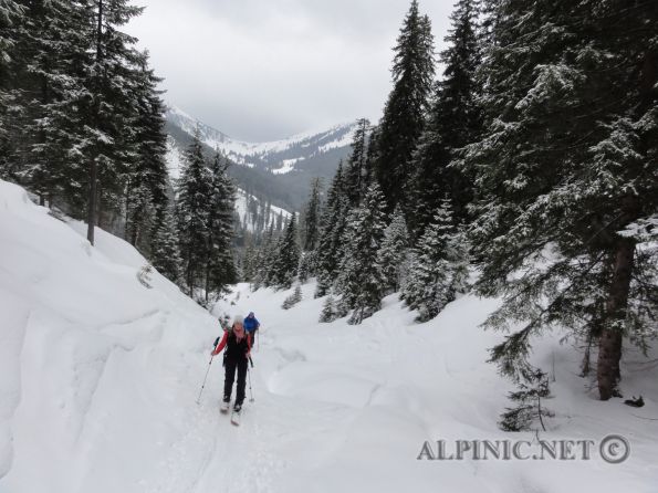 Lattenberg / Hintertriebental 800Hm / DSC06415 - Tour von der Bergerhube im Hintertriebental (1198m) über den Weitgraben auf den Lattenberg (2018m). Nette kurze Tour mit fast zu viel Schnee. Entgegen unserem Entschluss des Vortages bei schlechter Sicht abzubrechen machen wir den Gipfel und müssen GPS gesteuert bei extrem schlechter Sicht wieder zum Weitgraben im Superpulver abfahren.