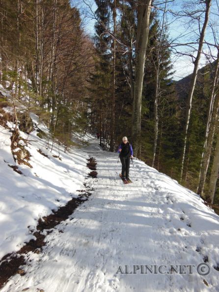 Unterberg / Gutensteiner Alpen 650m / DSCN3534 - Kurze Tour auf den Unterberg über die Myralucke auf den kläglichen Resten der letzten Schneefälle an einem wunderschönen Jänner Morgen.