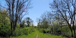 Kinnekulleleden MTB / Götene Komun / Schweden