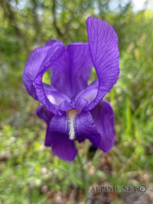 IMG_7050_DxO
