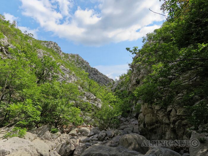 IMG_7065_DxO
