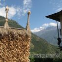 IMG_0766