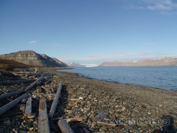 Svalbard  / Spitzbergen / Dickson Land / DSC00696 - August 2009, ein Besuch der kargen Wildnis Svalbards. Unter norwegischem Protektorat stellt Svalbard oder auch Spitzbergen die nördlichste Bastion Europas dar mit gerade einmal 900 km Distanz zum geographischen Nordpol. Dank des Golfstroms werden hier im Sommer doch recht "gemütliche" Temperaturen um die 4-12°C erreicht. Obwohl nicht für Sonnenanbeter gedacht wird einem hier Sonne around-the-clock geboten und wer die karge Einsamkeit und bizarre Landschaften liebt dem kann ich einen Trip an den Archipel des Eisbären "wärmstens" empfehlen.<br /><br />Der <a title="Svalbard the Film" href="http://www.alpinic.net/videos/svalbard-the-film/TheFilm.mp4.php" target="_blank">Film</a> zum Album, ein Muss ...<br /><br />Wichtige Links:<a title="Svalbard.com" href="http://www.svalbard.com/" target="_blank"><br />Svaldard.com - Wichtige Informationen für alle die in diese Ecke wollen</a> <br /><a title="Svalbard Posten" href="http://www.svalbardposten.no/" target="_blank">Svalbard Posten - News aus dem hohen Norden</a>