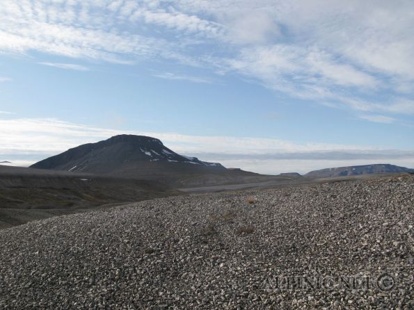 Svalbard  / Spitzbergen / Dickson Land / IMG_4090 - August 2009, ein Besuch der kargen Wildnis Svalbards. Unter norwegischem Protektorat stellt Svalbard oder auch Spitzbergen die nördlichste Bastion Europas dar mit gerade einmal 900 km Distanz zum geographischen Nordpol. Dank des Golfstroms werden hier im Sommer doch recht "gemütliche" Temperaturen um die 4-12°C erreicht. Obwohl nicht für Sonnenanbeter gedacht wird einem hier Sonne around-the-clock geboten und wer die karge Einsamkeit und bizarre Landschaften liebt dem kann ich einen Trip an den Archipel des Eisbären "wärmstens" empfehlen.<br /><br />Der <a title="Svalbard the Film" href="http://www.alpinic.net/videos/svalbard-the-film/TheFilm.mp4.php" target="_blank">Film</a> zum Album, ein Muss ...<br /><br />Wichtige Links:<a title="Svalbard.com" href="http://www.svalbard.com/" target="_blank"><br />Svaldard.com - Wichtige Informationen für alle die in diese Ecke wollen</a> <br /><a title="Svalbard Posten" href="http://www.svalbardposten.no/" target="_blank">Svalbard Posten - News aus dem hohen Norden</a>