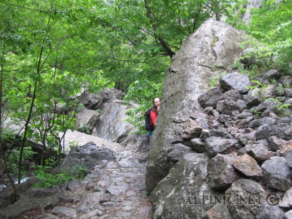 Paklenica / Crni / IMG_4881 - Was macht man wenn es in Paklenica regnet ??? Man wandert ... z.B. auf den knapp über 1100 Meter hohen Crni. Ein wirklich nette Tour die einiges an botanischen und ornithologischen (habe ich mir von einem Biologen versichern lassen) Hightlights zu bieten hat. Die Crni-Überschreitung von Starigrad aus ist dann eine ganz nette Tagestour und mit einem netten Ausblick vom Gipfel wäre es fast schon zu schön gewesen ;-)